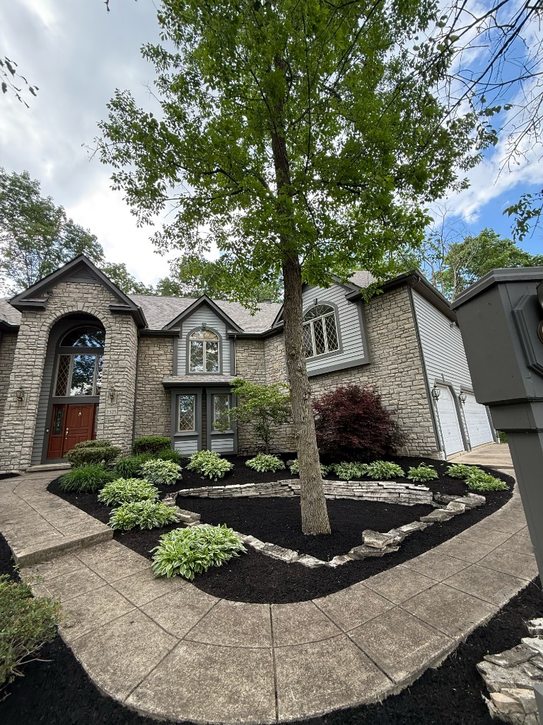 Recent landscaping project 3