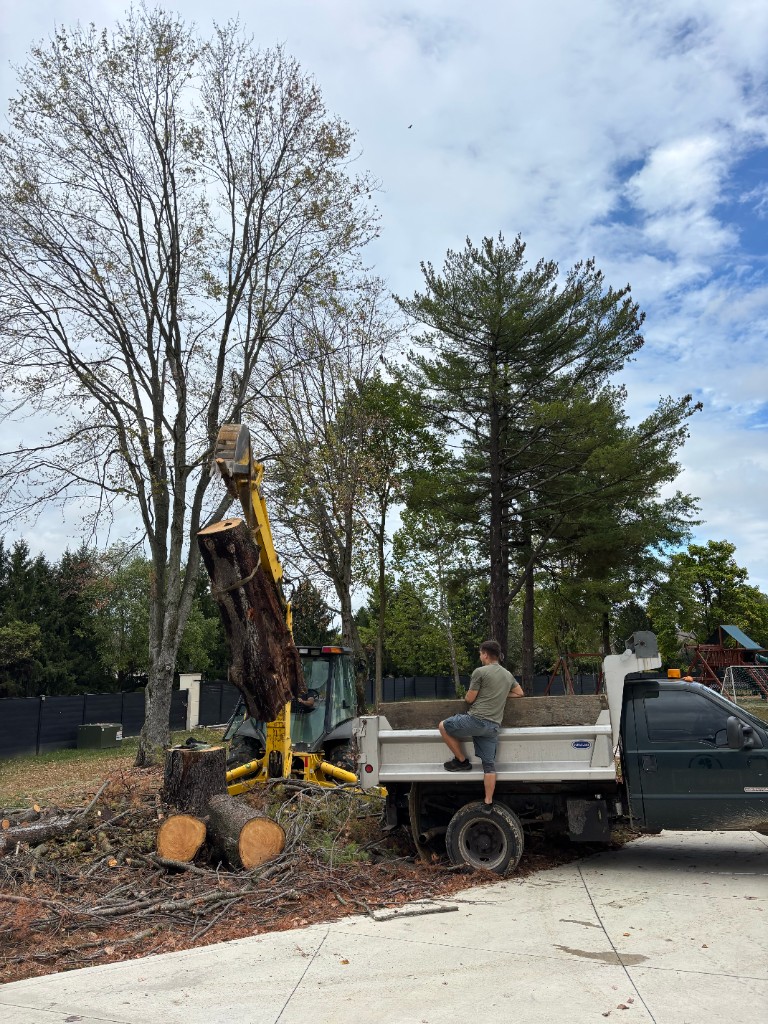 Recent landscaping project 7