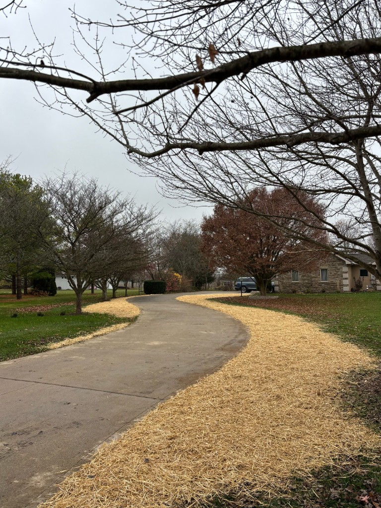 Recent landscaping project 9