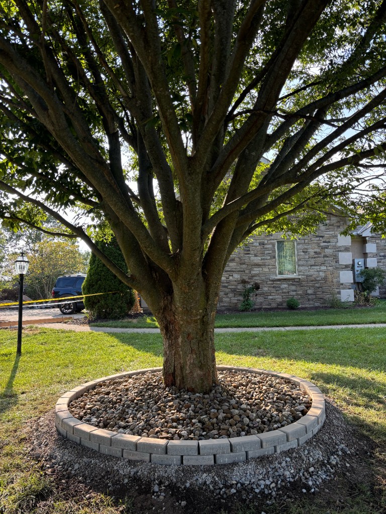 Recent landscaping project 11