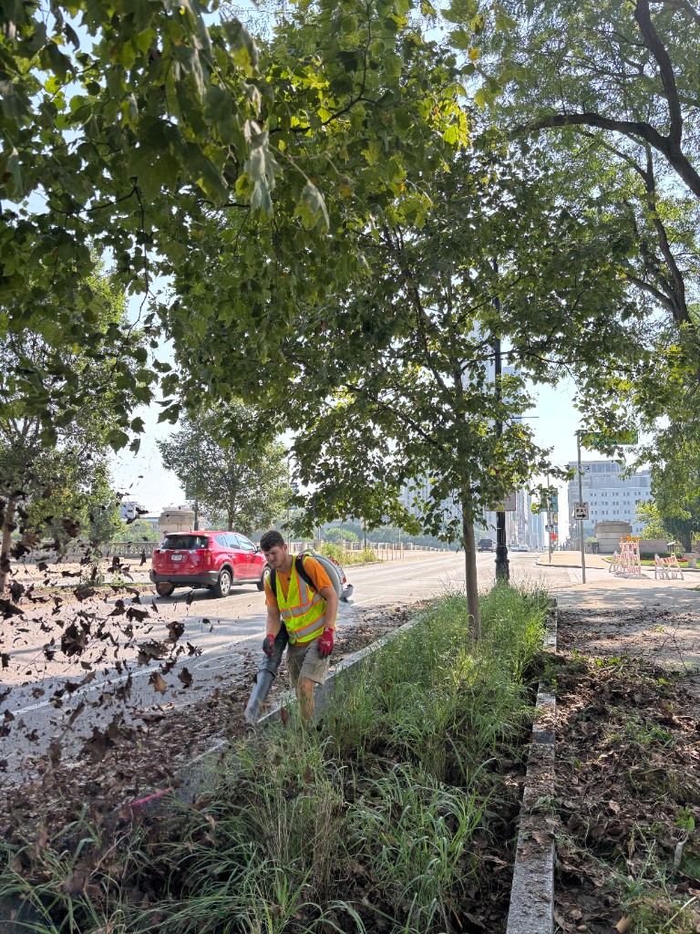 Recent landscaping project 12