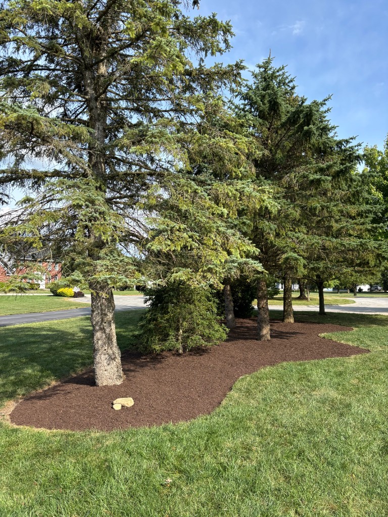 Recent landscaping project 13